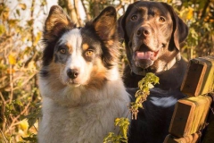 hugo-bailey-gelb-gruen-braun-hoch